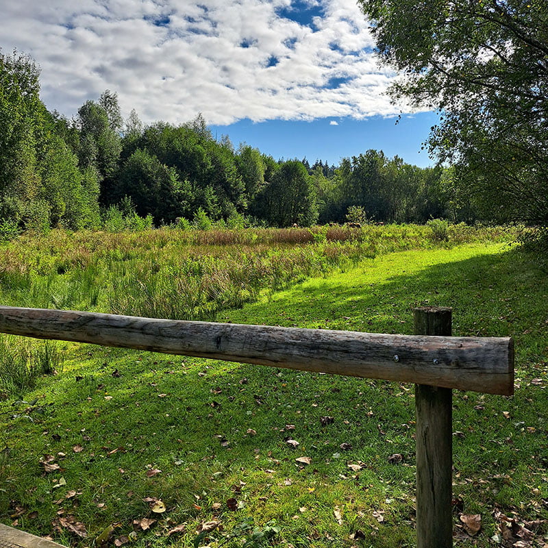 Coaching wandelsessies in Prattenburg, Kwintelooijen in Veenendaal